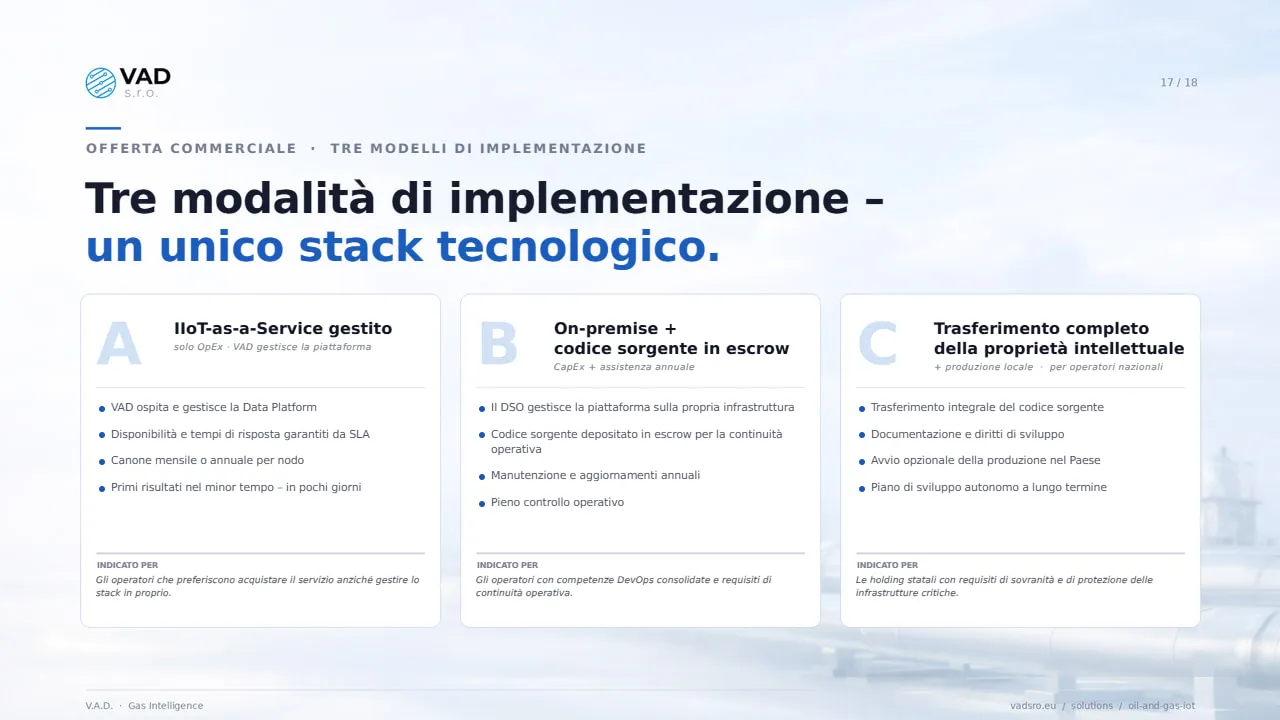 Modelli commerciali – CapEx, OpEx, trasferimento completo della proprietà intellettuale